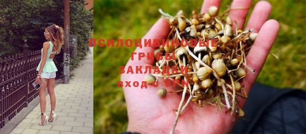 кокаин премиум Михайловка