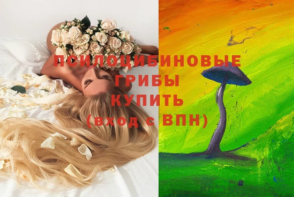 хмурый Михайлов