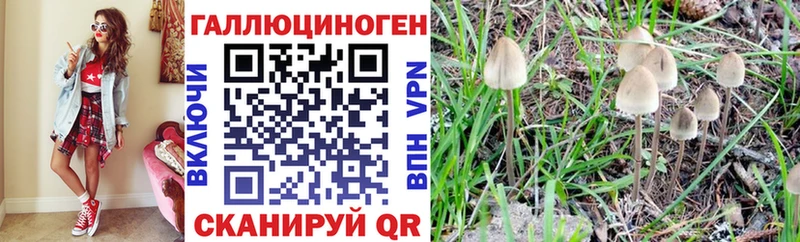 Галлюциногенные грибы Psilocybe  купить наркотики сайты  Емва 